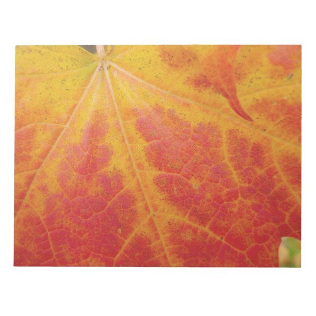 Bloc-note Feuille de Érable Rouge Photographie de Nature Abs (Devant)