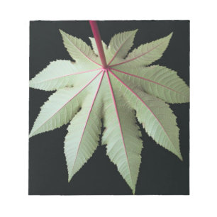 Bloc-note Feuille et tige