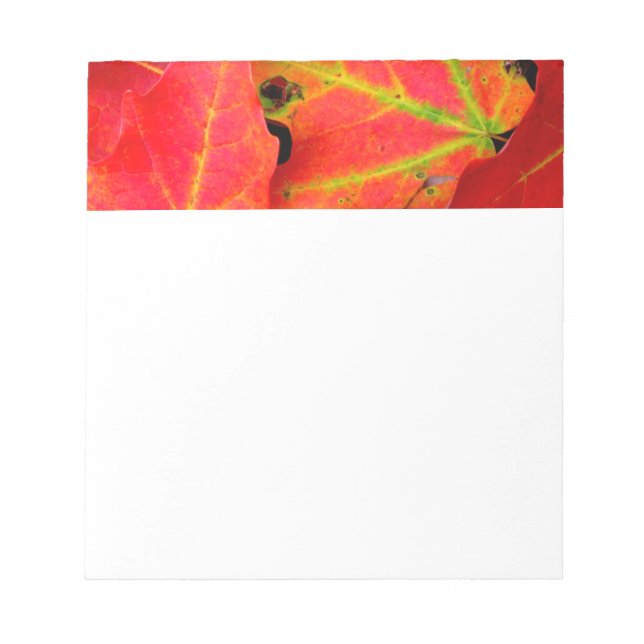 Bloc-note Feuilles d'automne colorées Gros plan (Devant)