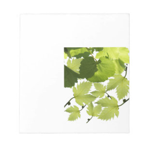 Bloc-note Feuilles Vertes de Vigne de Raisin