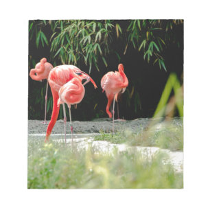 Bloc-note flamant