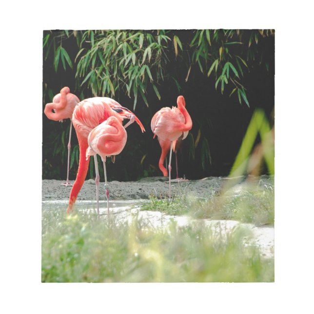 Bloc-note flamant (Devant)