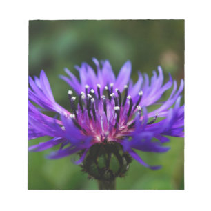 Bloc-note Fleur de Bleuet Fleurs de Bleuet Paix Amour Destin