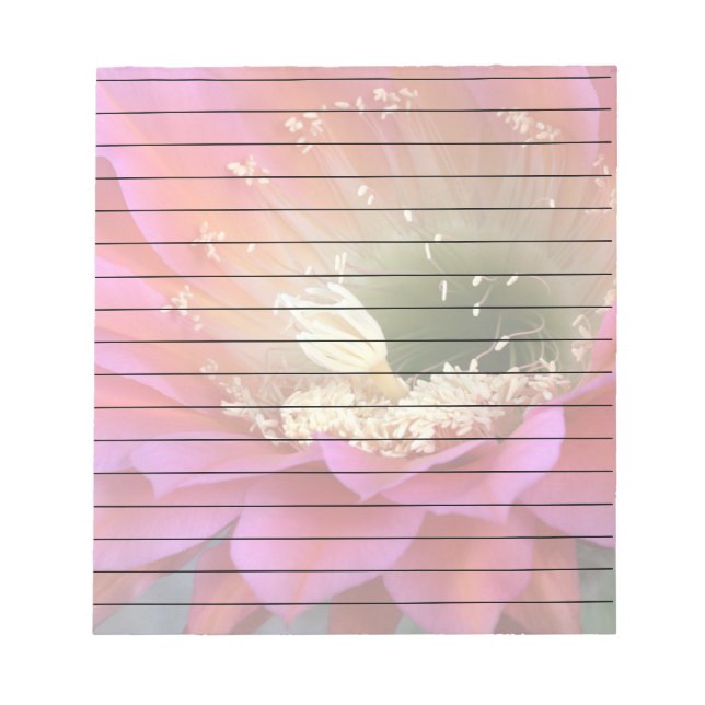Bloc-note Fleur de cactus rose dans le désert (Devant)