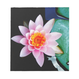 Bloc-note Fleur de laine d'eau chaude rose et orange de lotu