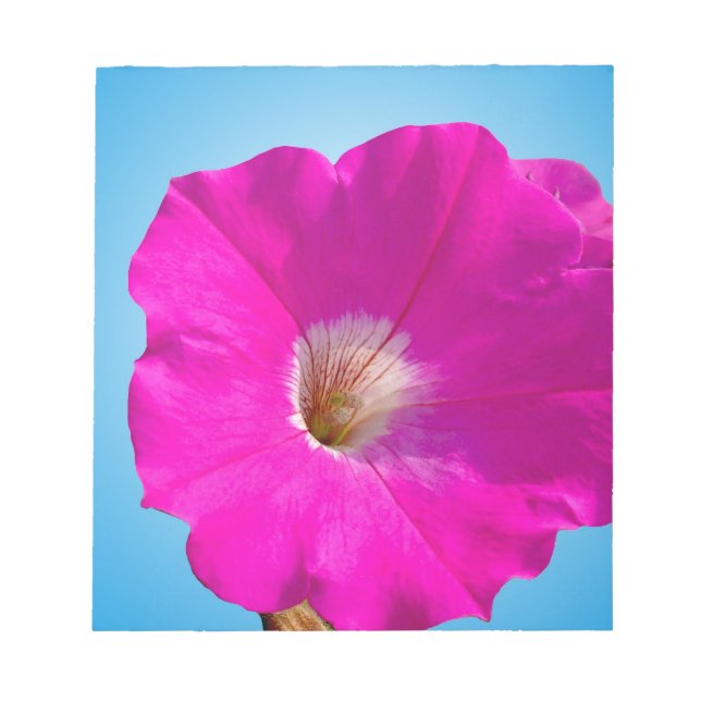 Bloc-note fleur de pétunia rose sur fond bleu. (Devant)