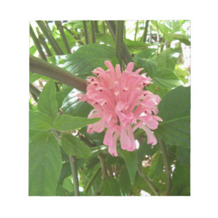 Bloc-note Fleur de plume brésilienne