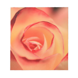 Bloc-note Fleur de rose orange rose