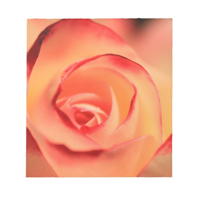 Bloc-note Fleur de rose orange rose (Devant)