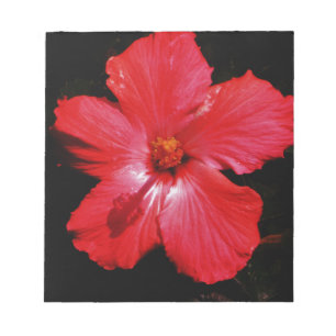Bloc-note Fleur d'Hibiscus rouge rose chaud sur noir