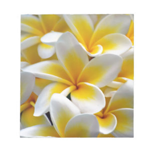 Bloc-note Fleur Frangipani Plumeria