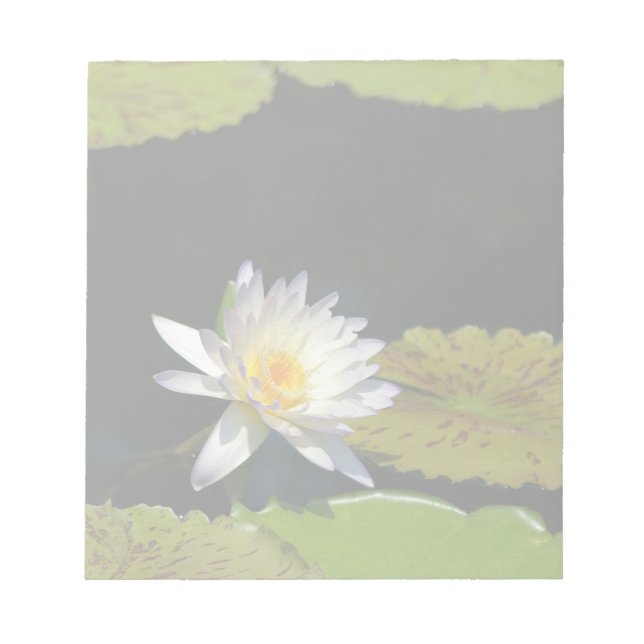 Bloc-note Fleur Nénuphar Lotus blanche (Devant)