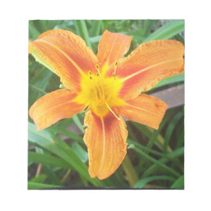 Bloc-note Fleur orange