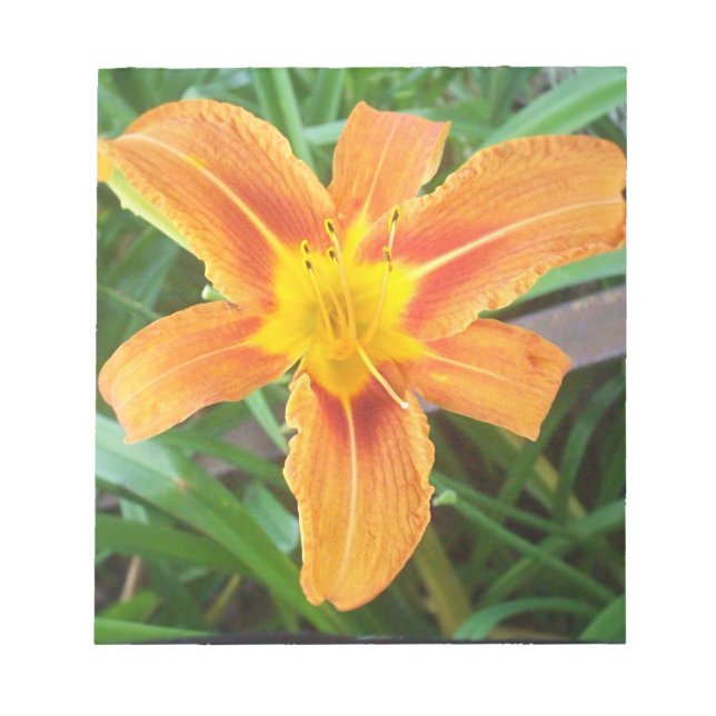 Bloc-note Fleur orange (Devant)