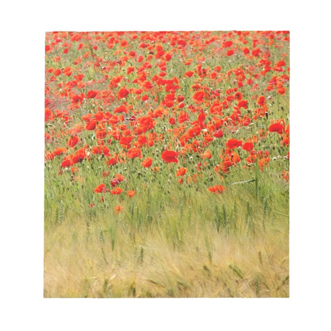 Bloc-note fleur rouge d'été (Devant)