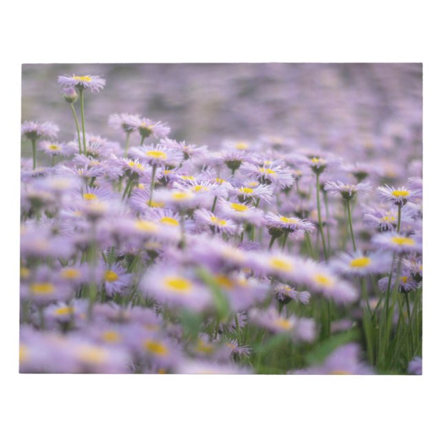 Bloc-note Fleurs d'aster violet (Devant)