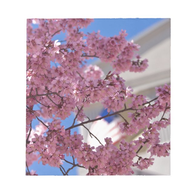 Bloc-note Fleurs de cerisier Sakura Americana (Devant)