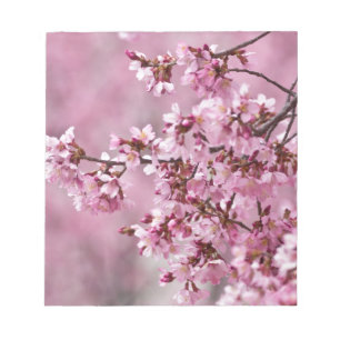 Bloc-note Fleurs de Cerisier Sakura Pastel Rose Calquees