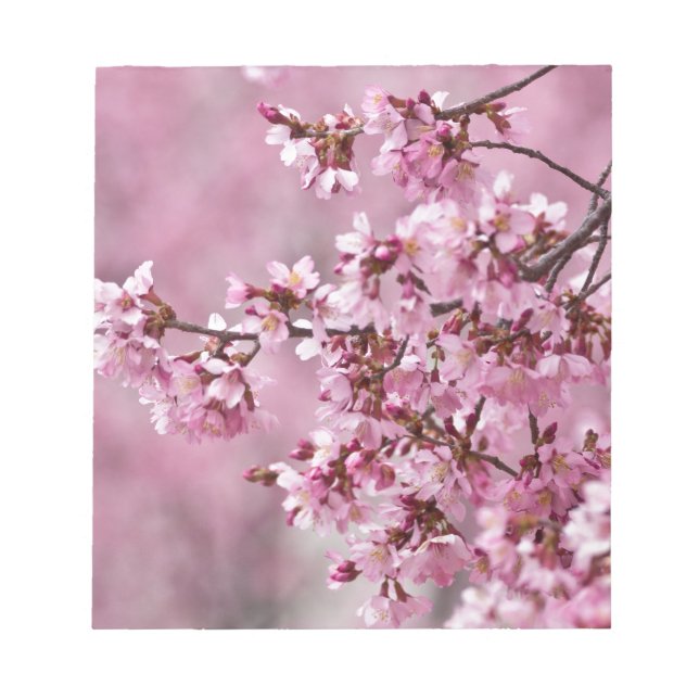 Bloc-note Fleurs de Cerisier Sakura Pastel Rose Calquees (Devant)