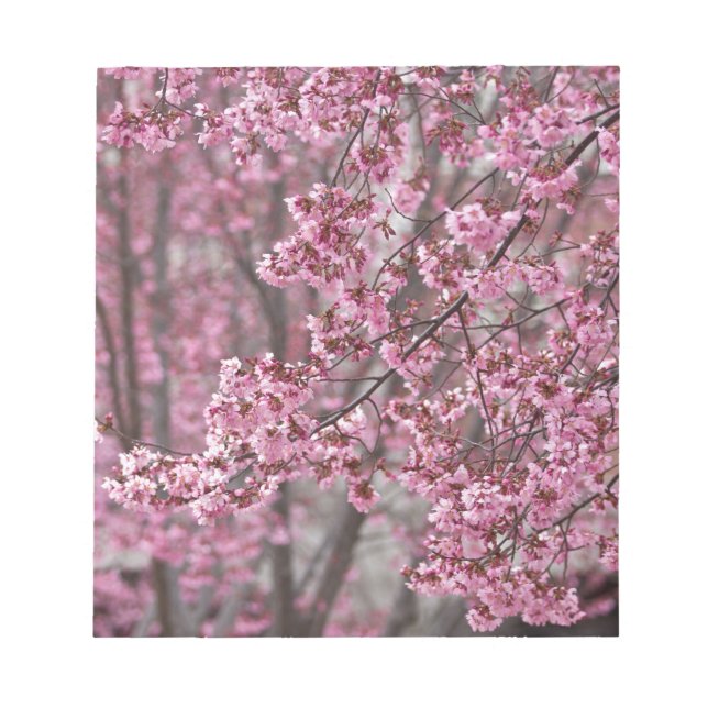 Bloc-note Fleurs de cerisier Sakura rose flottant (Devant)