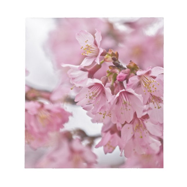 Bloc-note Fleurs de cerisier Sakura rose pâle (Devant)
