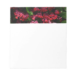 Bloc-note Fleurs de pagode colorées rouge et rose