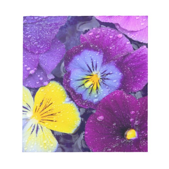 Bloc-note Fleurs de pensée flottant dans un bain d'oiseau av (Devant)