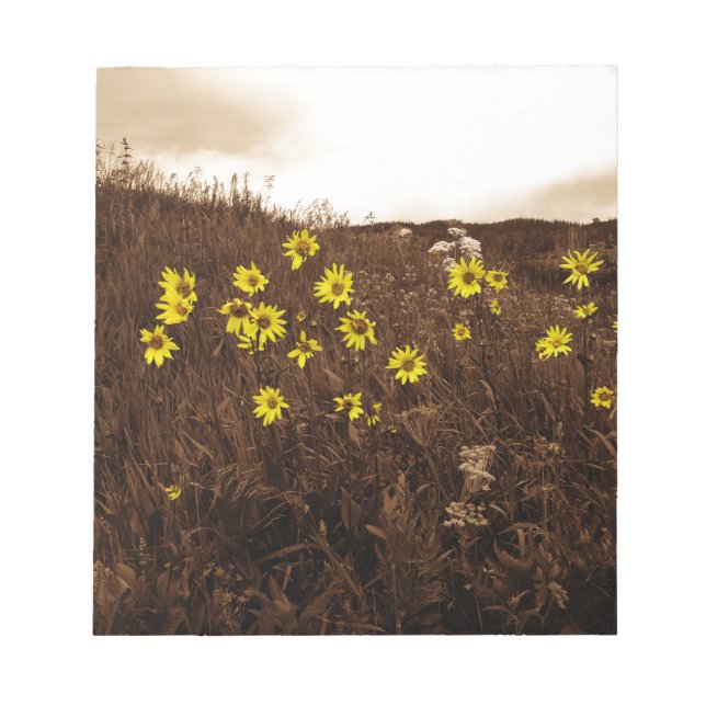 Bloc-note Fleurs de soleil (Devant)