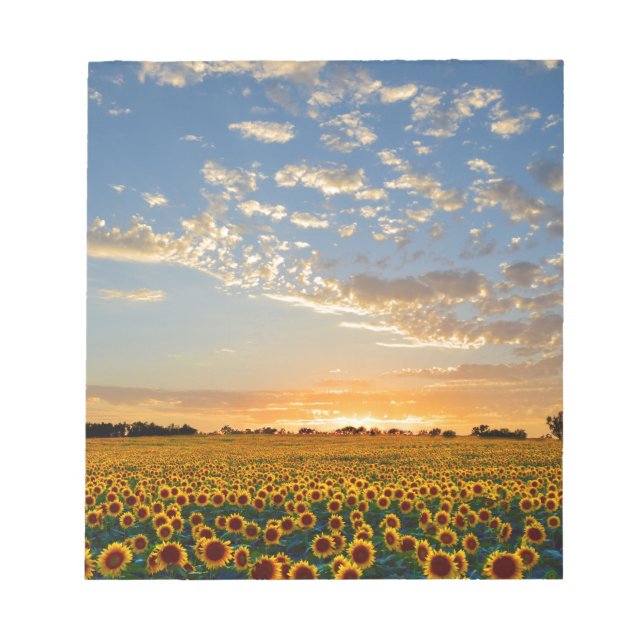 Bloc-note Fleurs de soleil au coucher du soleil (Devant)