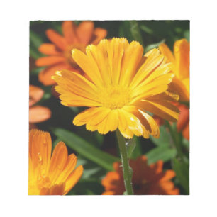 Bloc-note Fleurs Jaunes Fleurs Art Paix Aimer Destiny