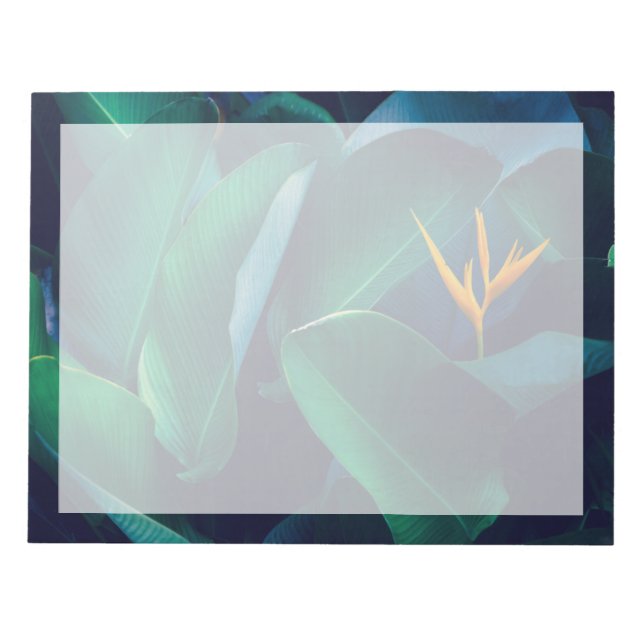 Bloc-note Fleurs | Oiseau du paradis (Devant)