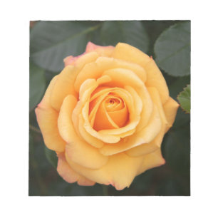 Bloc-note Fleurs roses fleurs fleur amour femme couple amour