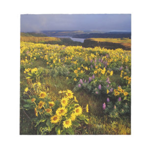 Bloc-note fleurs sauvages de printemps en abondance au Tom