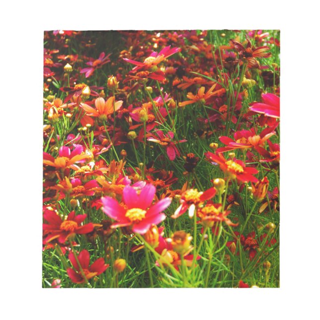 Bloc-note Fleurs sauvages rose et jaune pâle (Devant)