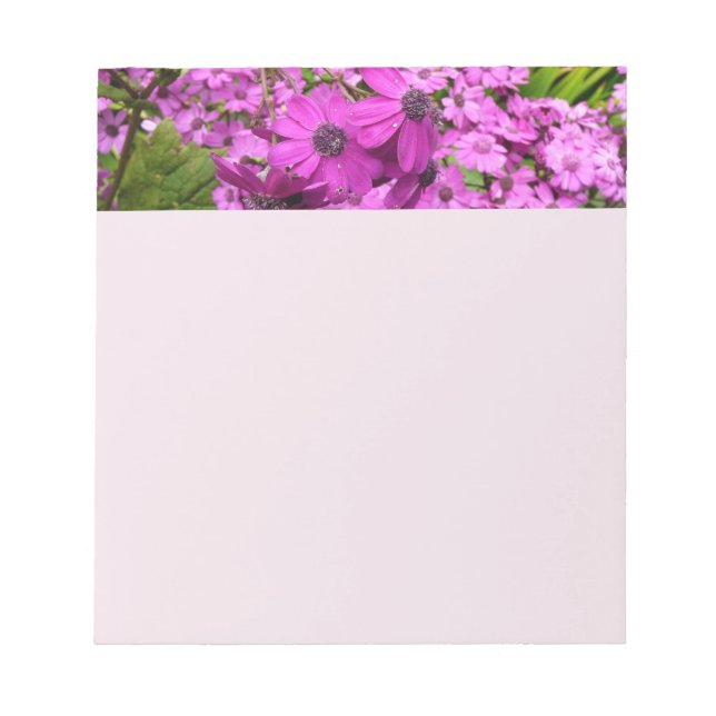 Bloc-note Fleurs violettes de San Francisco (Devant)