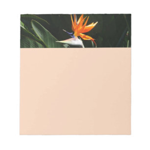Bloc-note Flower tropical orange paradise
