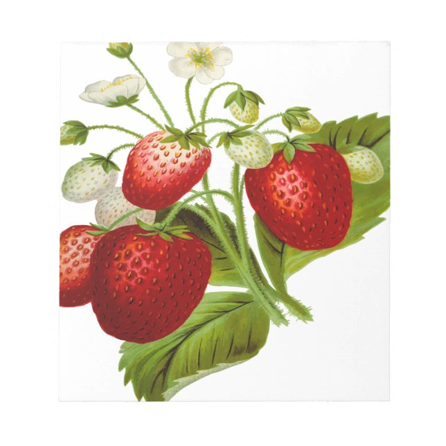 Bloc-note Food fruit leaf leafy (Devant)