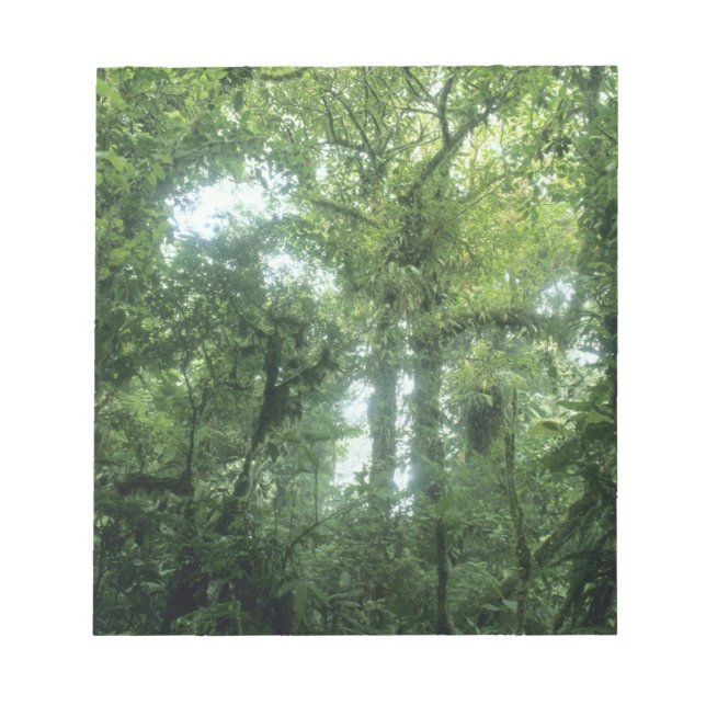 Bloc-note Forêt nuageuse de Monteverde, Costa Rica. (Devant)