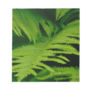 Bloc-note Forêts et jungles