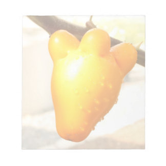 Bloc-note Fruit Visage Renard