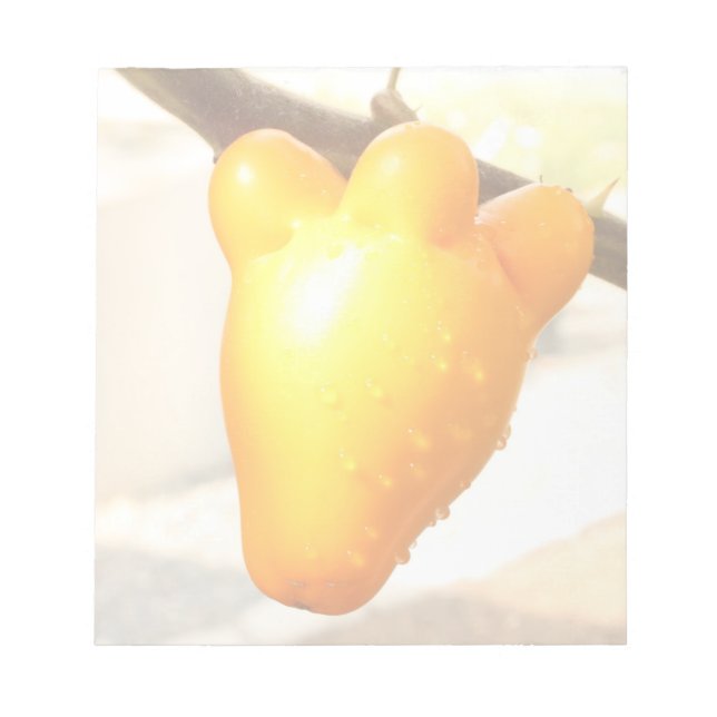 Bloc-note Fruit Visage Renard (Devant)
