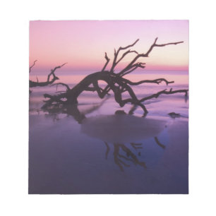 Bloc-note GA Jekyll Island, Cimetière d'arbres sur la plage