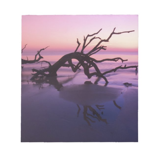 Bloc-note GA Jekyll Island, Cimetière d'arbres sur la plage  (Devant)