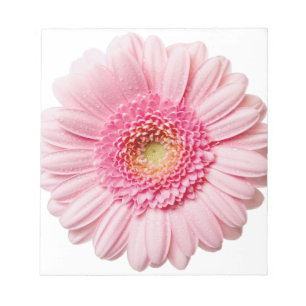 Bloc-note Gerbera Rose Daisy