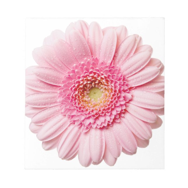 Bloc-note Gerbera Rose Daisy (Devant)