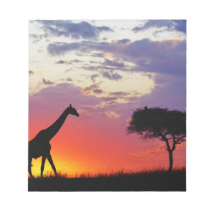 Bloc-note Girafe en silhouette au lever du soleil, Giraffa
