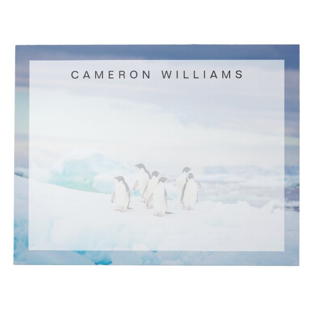 Bloc-note Glace et neige | Adelie Penguins Antarctique (Devant)