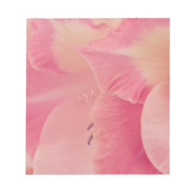 Bloc-note Gladiola Petals (Devant)
