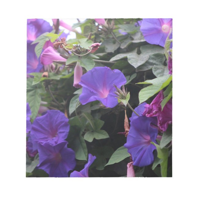 Bloc-note Glorieuses du matin de printemps en bleu (Devant)