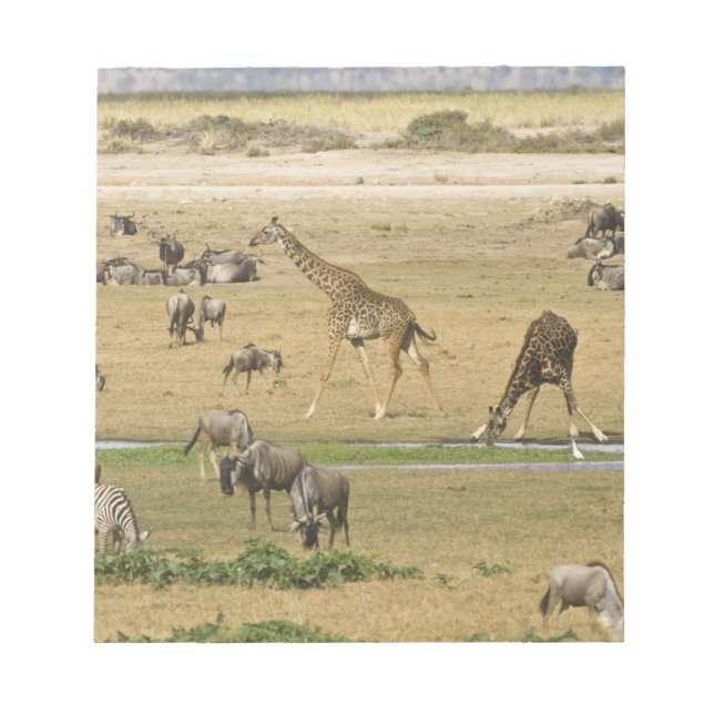 Bloc-note Gnous, Zèbres et Girafes (Devant)